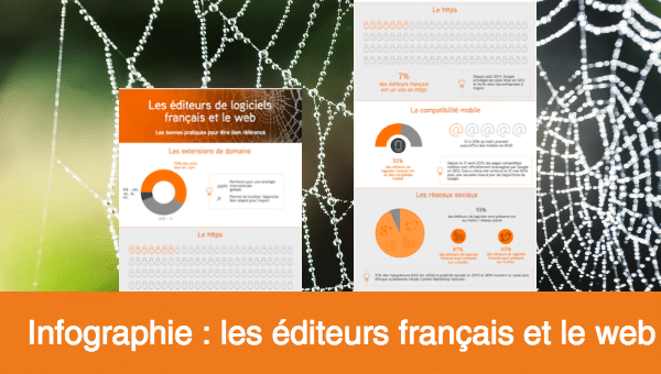 infographie les editeurs de logiciels francais et le web 2016