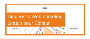 Audit Webmarketing éditeur logiciel