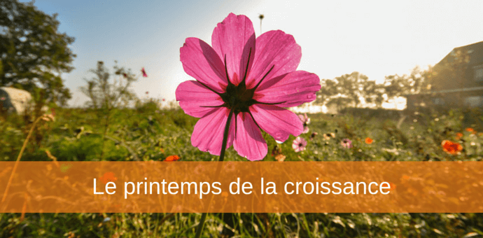 printemps croissance editeurs de logiciel